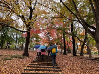 【色鮮やかな紅葉の中をウォーキング】11/20（月）開催「紅葉の長沼公園・平山城址公園を歩こう」