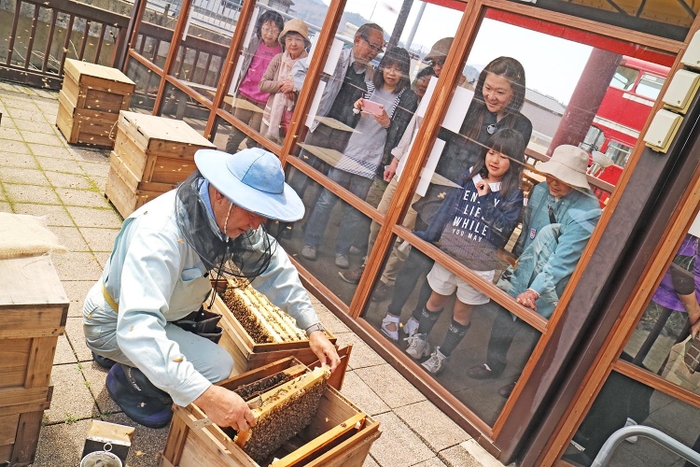 ぷち養蜂場風景