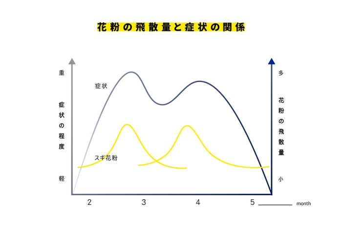 出典：花粉症ナビ、花粉の飛散量と症状の関係