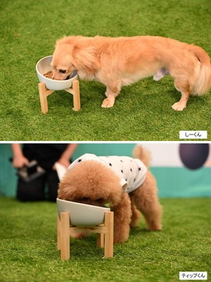 しーくんとティップくんの実食撮影の時間も設けられました