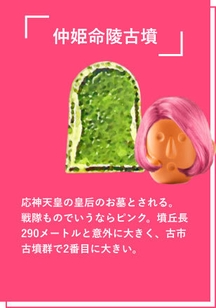 仲姫命陵古墳