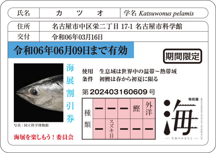 魚の免許証風割引カード※画像はイメージ