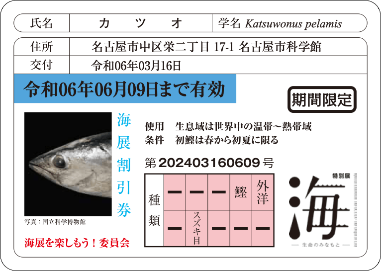 魚の免許証風割引カード※画像はイメージ