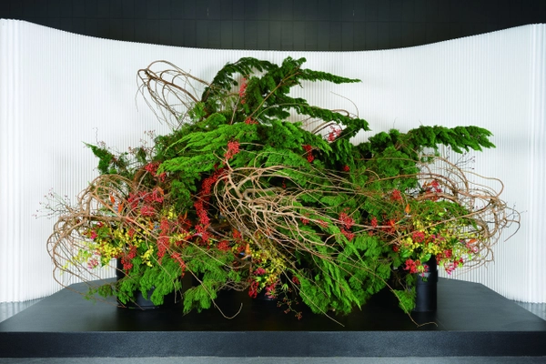 「いけばな龍生展　植物の貌2025」11月21日～24日 渋谷で開催 　会期中同時開催の ＜龍生展2025　プレミアムナイトツアー ～花展の夜を、贅沢に愉しむ特別ツアー～＞ 詳細も決定