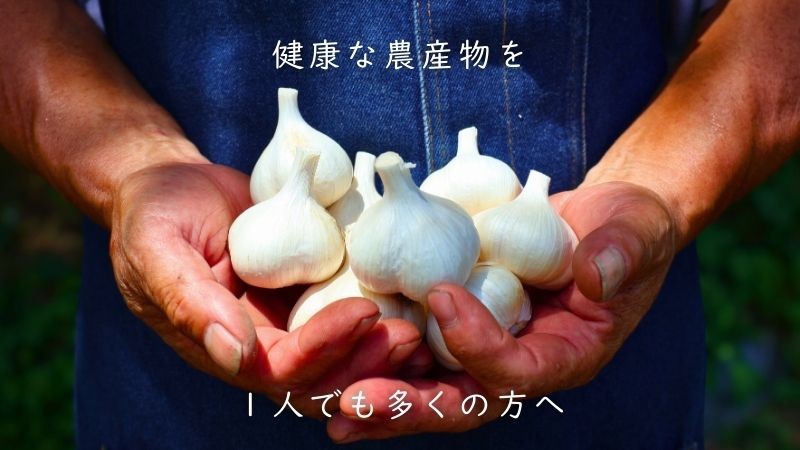 地震被災から再起を図る青森・田子町のオーガニックにんにく農家がクラウドファンディング開始