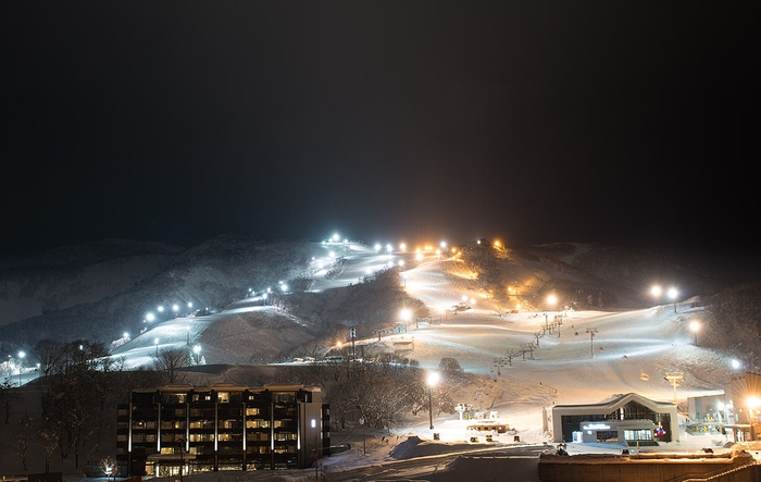 木ニセコとナイタースキー