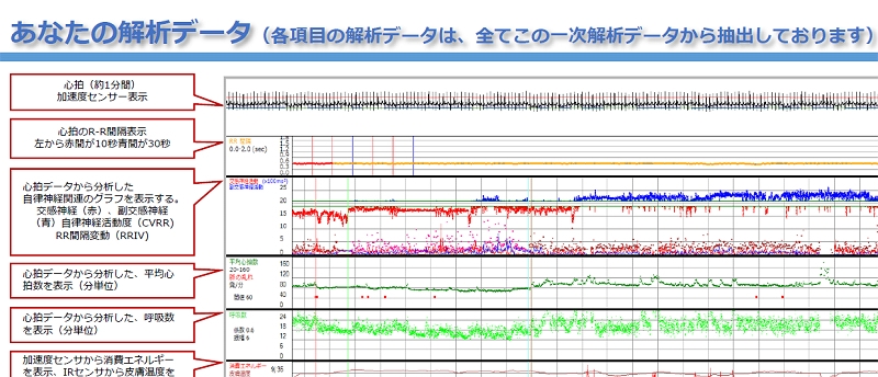 様々な項目を24時間測定