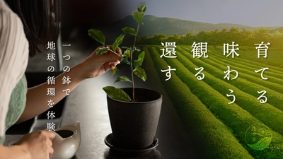 [サスティナブル]お茶で世界を救う！茶葉で作った鉢に茶ノ木を添えてお届け。生分解できる【我が茶】Makuakeにて公開中