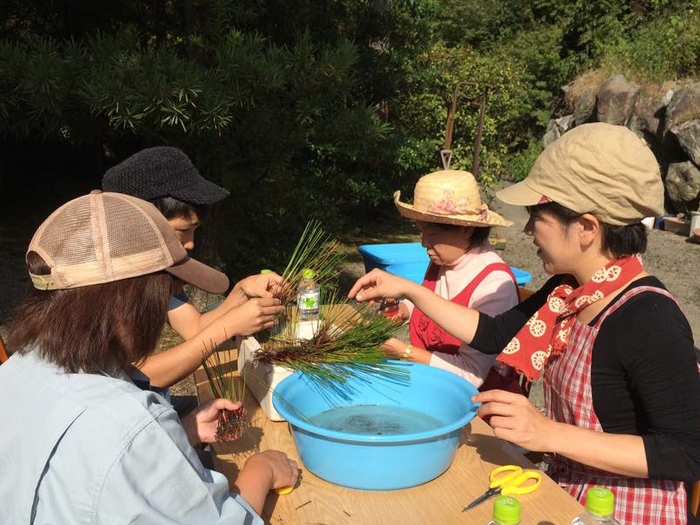 ９月23日に開催した「株分け・箱苗作り体験会」の様子