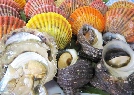 海のたまて箱 真珠が入っているかは運次第!(休暇村瀬戸内東予)