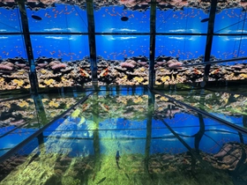 越前松島水族館　非日常・没入型体験施設として「海洋館」をリニューアル
