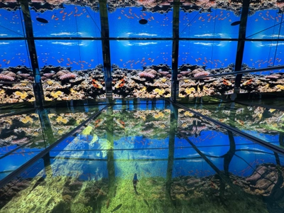 越前松島水族館　非日常・没入型体験施設として「海洋館」をリニューアル
