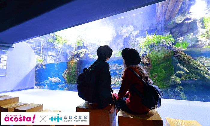 acosta!@京都水族館4