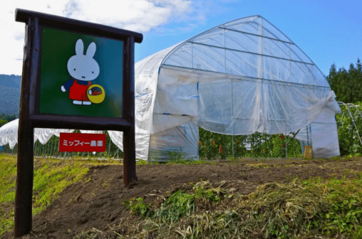 かたしな高原スキー場取り組み画像
