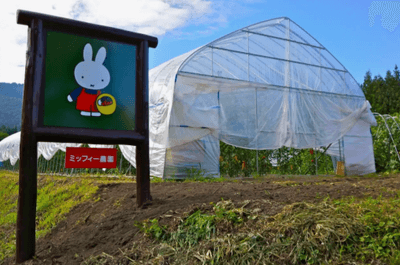 かたしな高原スキー場取り組み画像