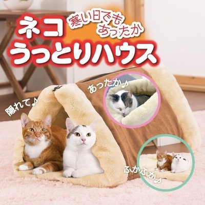 ネコうっとりハウス 2