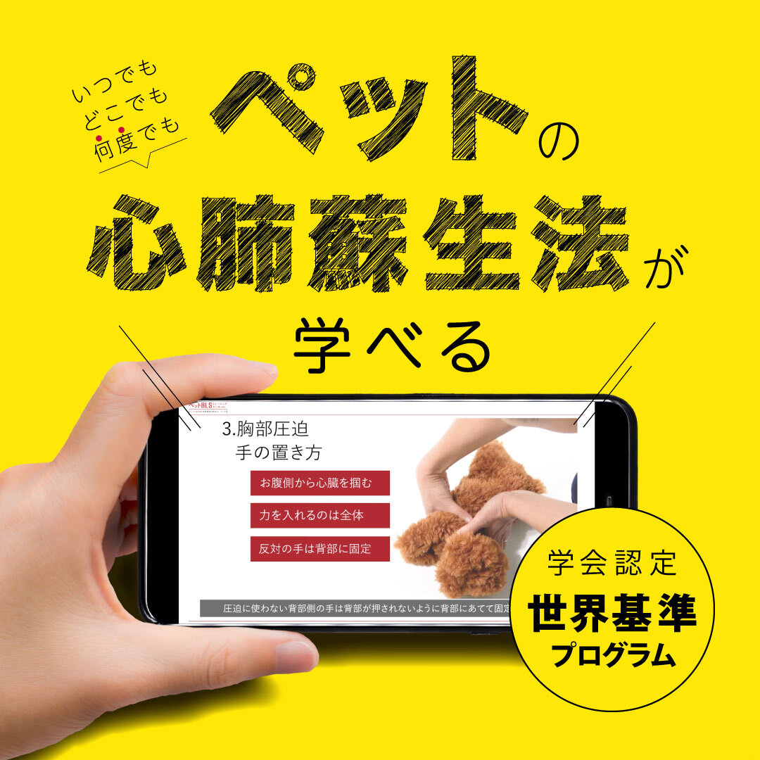 【耳の日】手話で学ぶペットの心肺蘇生法