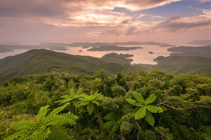 奄美高知山展望台