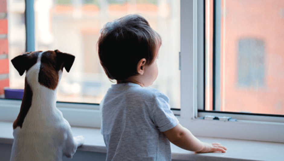 ループレスで安全性が向上