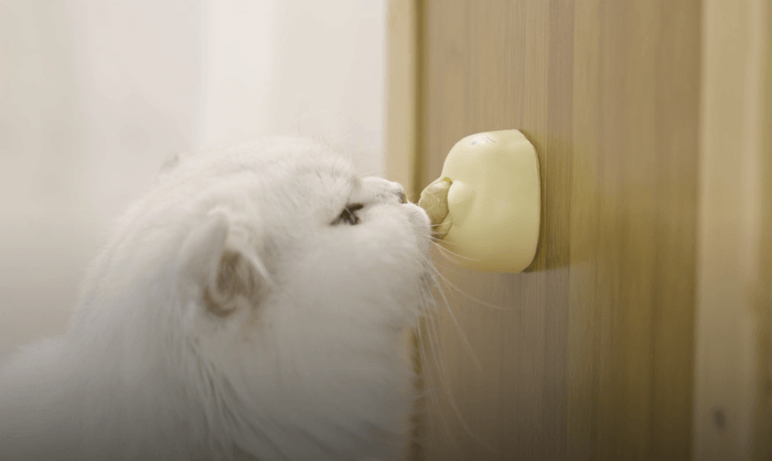 ペット知育玩具おやつ「ペロトモ」使用イメージ(2)