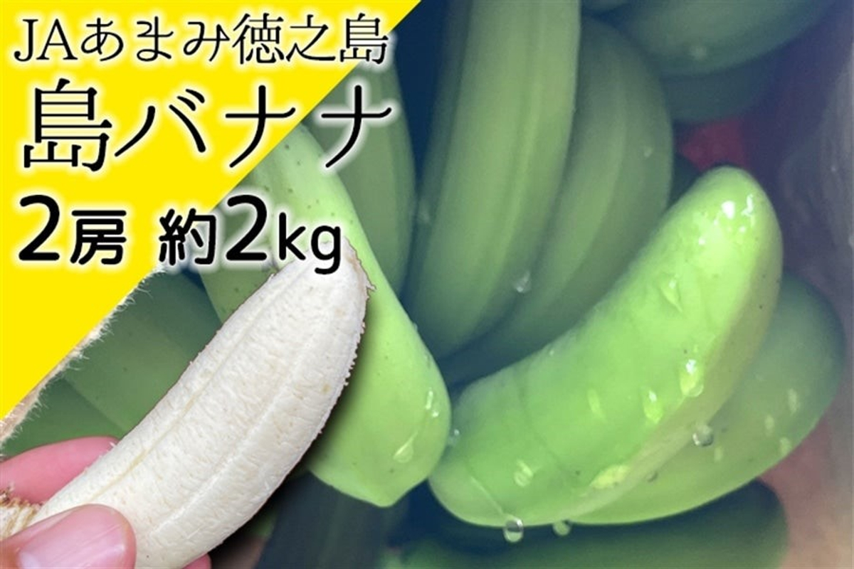 一度食べるとやみつきになる 鹿児島県産の 島バナナ が産地直送通販サイト ｊａタウン で販売開始 Newscast