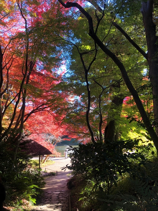 小石川後楽園