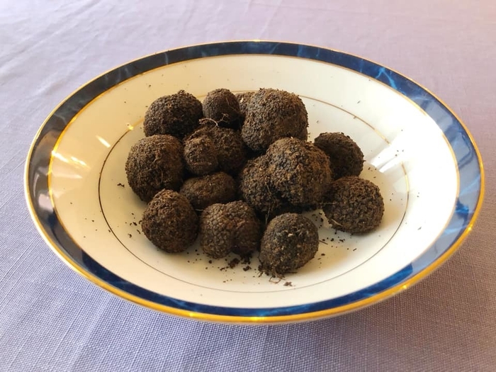 純国産「八ヶ岳天然トリュフ」