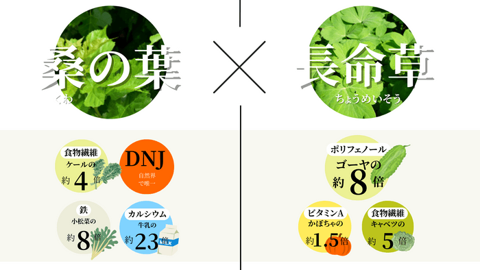 桑の葉と長命草の組み合わせ