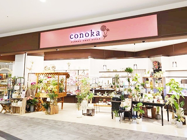 コノカイオンモール京都桂川店