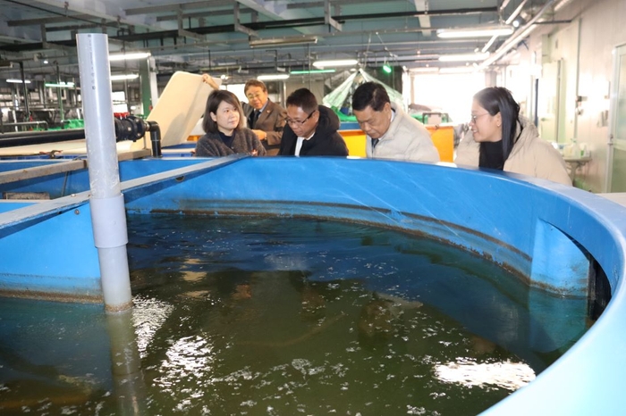 ニホンウナギの水槽をのぞき込んで見るルイナタ統括部長（右から３人目）ら