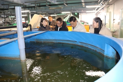 ニホンウナギの水槽をのぞき込んで見るルイナタ統括部長(右から3人目)ら