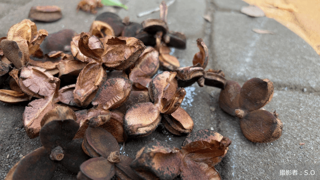 「ゴミ」が「宝物」に。アースデイに考えるモノの価値