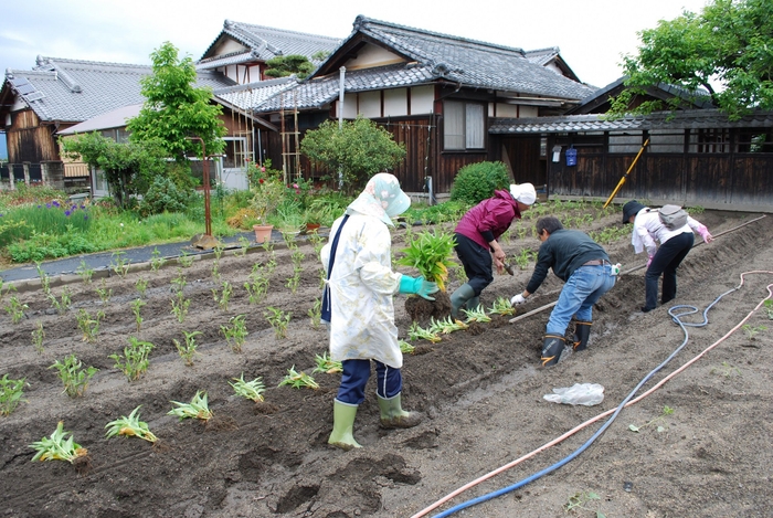 あおばな紙担い手セミナーの様子