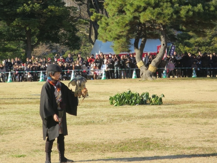 放鷹術の実演（過去の様子）