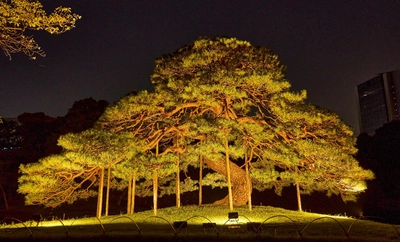 【小石川後楽園】夜間特別開園決定！ライトアップで幻想的な大名庭園に江戸城下のにぎわいを演出「秋の夜長の小石川後楽園」9月27日(金)から10月6日(日)まで開催！