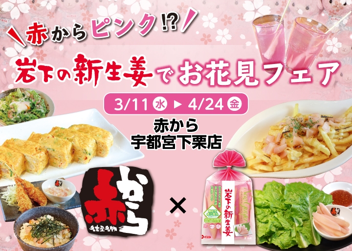 赤から宇都宮下栗店×岩下の新生姜『赤からピンク!?岩下の新生姜でお花見フェア』