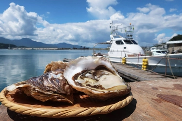 プリプリ濃厚で甘い！糸島の海と山で育った海のミルク　 糸島産岩牡蠣をオンラインショップにて販売開始