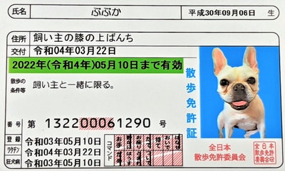 サンプル：散歩免許証