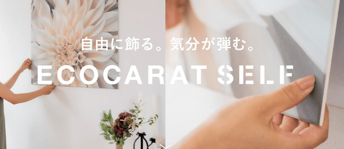 ECOCARAT SELF(エコカラット セルフ)　イメージ1