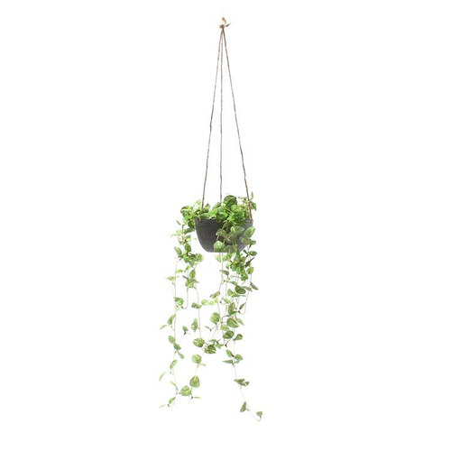 「フェイクグリーン Hanging Vine」価格：890円／サイズ：W19×D19×H78cm
