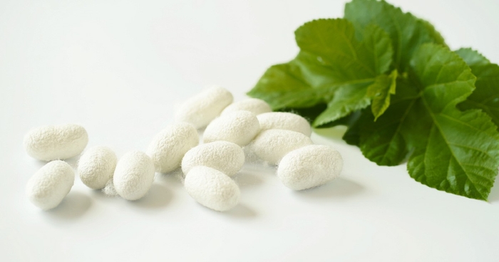 nE3eOknE32SiSSO4QTpB