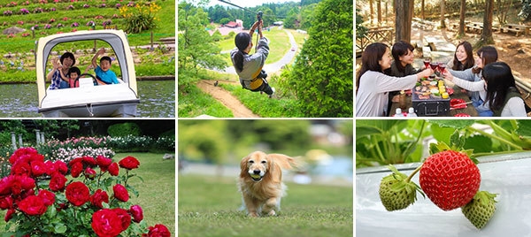 六甲山カンツリーハウス 園内の様子