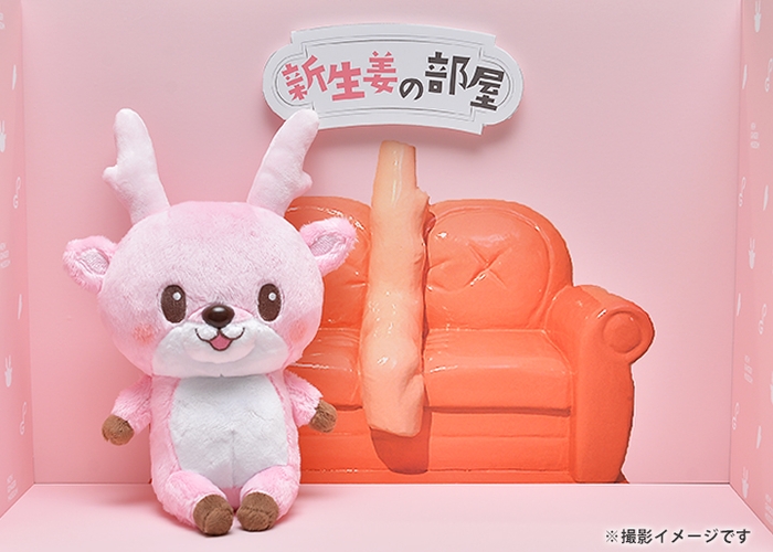 撮影イメージ(新生姜の部屋)