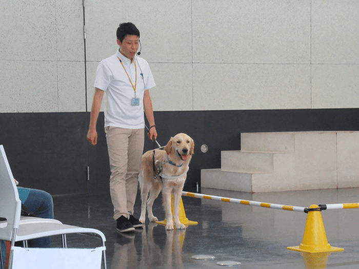 盲導犬デモンストレーションの様子