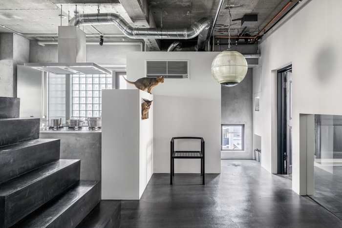 食器収納と間仕切り、キャットウォークを兼ねている