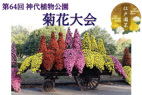 「神代花車」（令和５年度撮影）