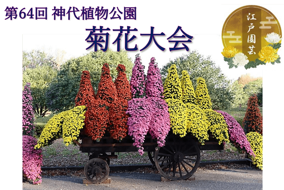 「神代花車」(令和5年度撮影)