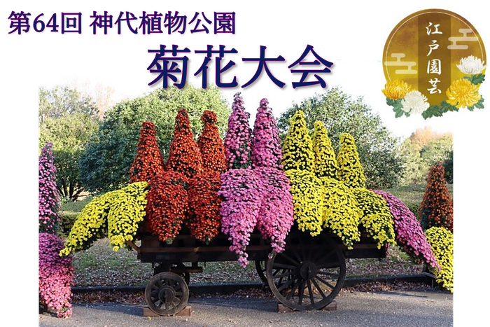 「神代花車」（令和５年度撮影）