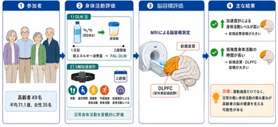 日常の「軽い身体活動」と高齢期の 脳の健康との関連を明らかにした論文を発表