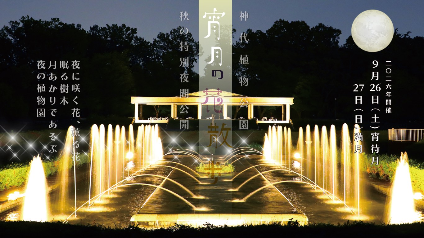 【神代植物公園】「宵月の花散歩」開催!
9月26日(土)小望月(宵待月)
9月27日(日)満月(十五夜の月)